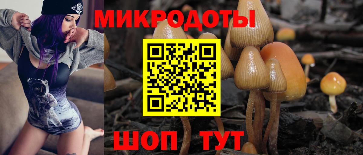 Галлюциногенные грибы ЛСД  Галлюциногенные грибы прущие грибы  Камышлов  Вход с VPN 