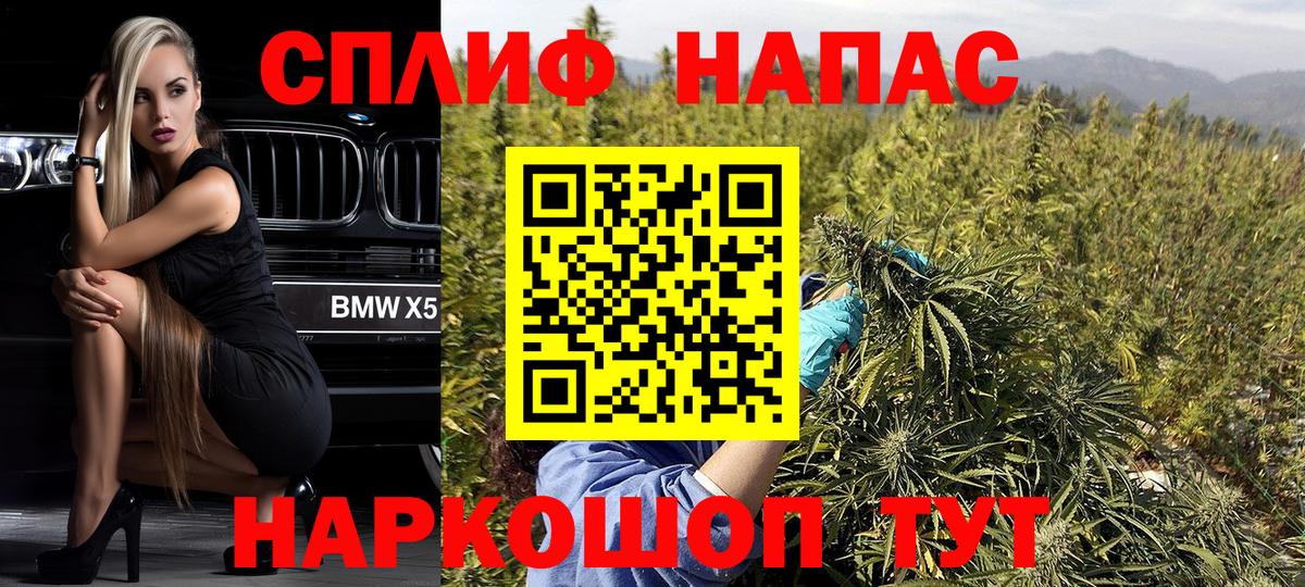 Каннабис план  Шишки марихуана THC 21%  Камышлов  Бошки марихуана сатива  Вход с VPN 